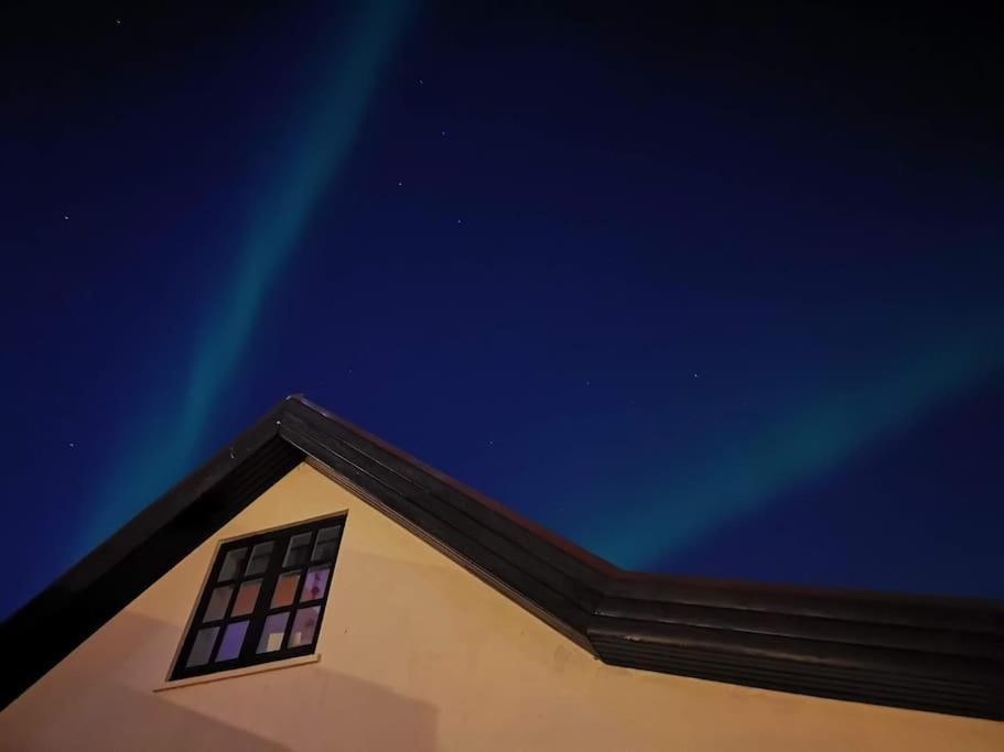 Icelandic Art Garden Villa W. Parking In Centre City レイキャヴィーク エクステリア 写真